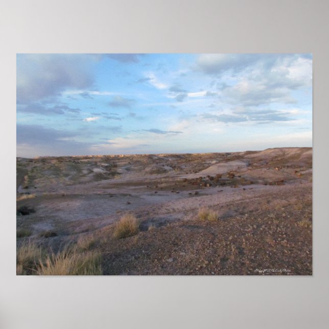 Póster Campo de bosque Petrificado (Frente)