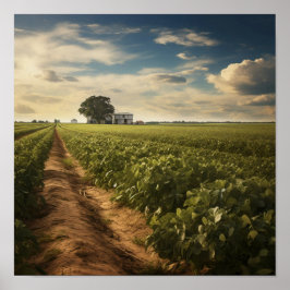 Póster Campo de cacahuete rural