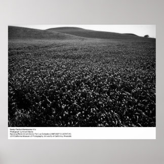 Póster Campo de cebada en las colinas de Montezuma por An