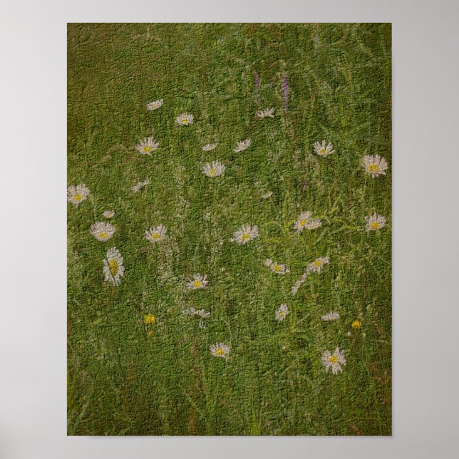 Póster Campo De Daisies Efecto Texturado Floral (Frente)