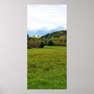 Póster Campo de flores