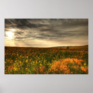 Póster Campo de flores de Bill