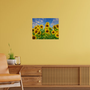 Póster Campo de flores de girasoles