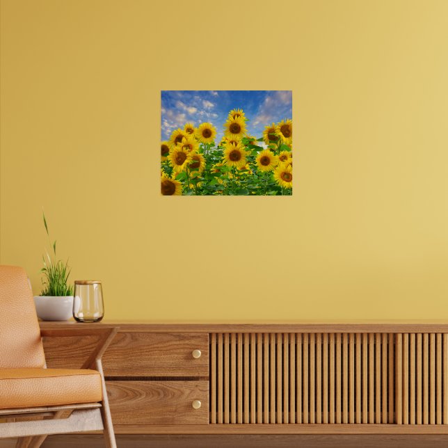 Póster Campo de flores de girasoles (Salón 2)