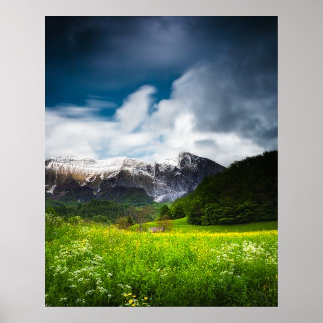 Póster Campo de flores de primavera bajo el monte Krn (Frente)