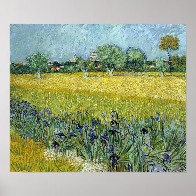 Póster Campo de flores Vincent van Gogh cerca de Arles (Frente)