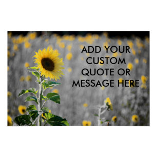 Póster Campo de girasoles con cita personalizada