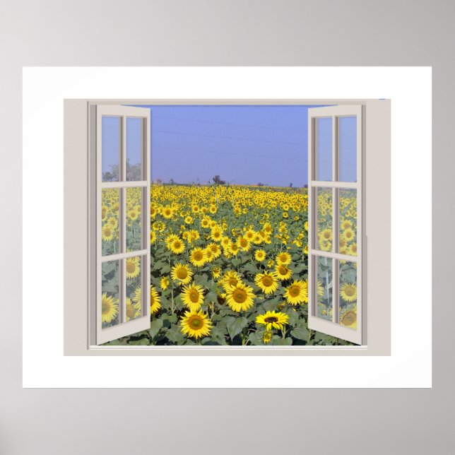 Póster Campo de girasoles visto a través de una ventana a (Frente)