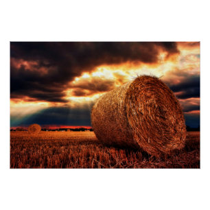 Póster Campo de Hay Bales