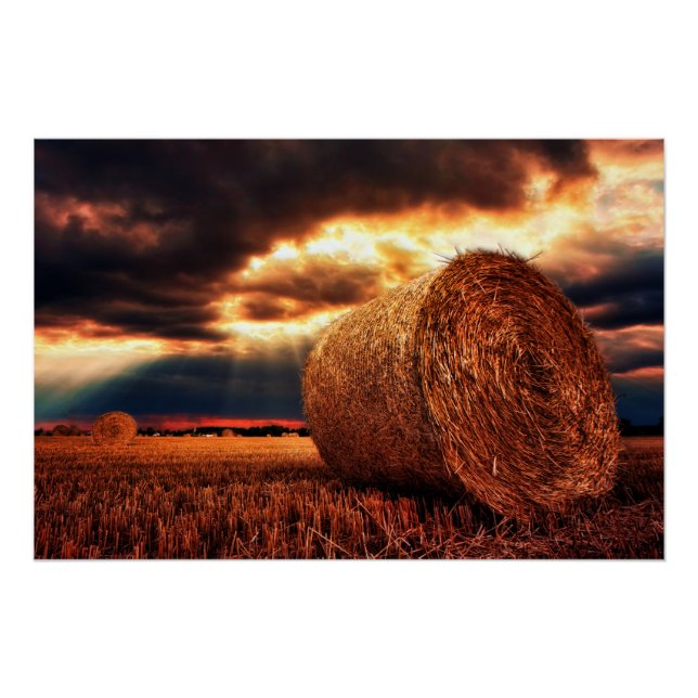 Póster Campo de Hay Bales (Anverso)