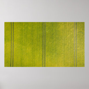 Póster Campo de hierba verde