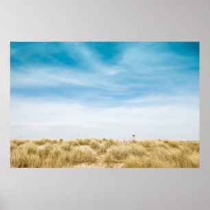Póster Campo de hierba verde bajo cielo azul