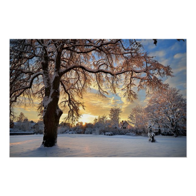 Póster Campo De Invierno En Letonia (Anverso)