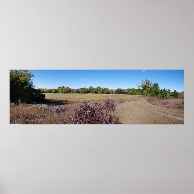 Póster Campo de Kansas (Frente)