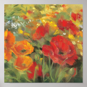 Póster Campo de la amapola oriental