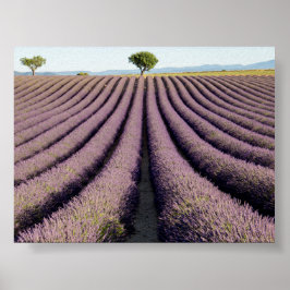 Póster Campo de lavanda en Provenza