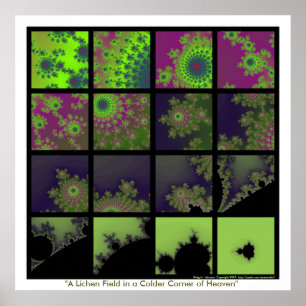Póster Campo de licina en un rincón más frío del cielo