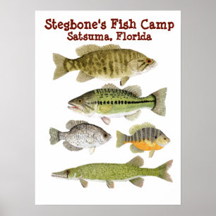 Póster Campo de los pescados de Stegbone