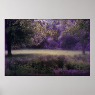 Póster Campo de los sueños de lavanda