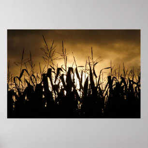 Póster Campo de maíz Silhouettes