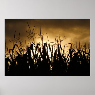 Póster Campo de maíz Silhouettes