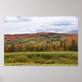 Póster Campo de maíz Vermont en otoño