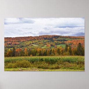 Póster Campo de maíz Vermont en otoño