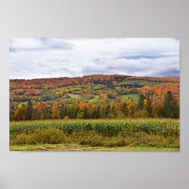 Póster Campo de maíz Vermont en otoño (Frente)