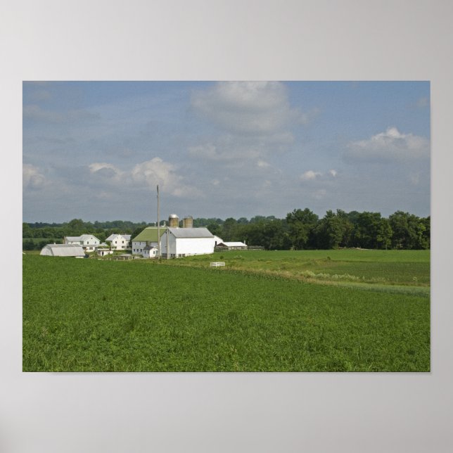 Póster Campo de Pensilvania (Frente)