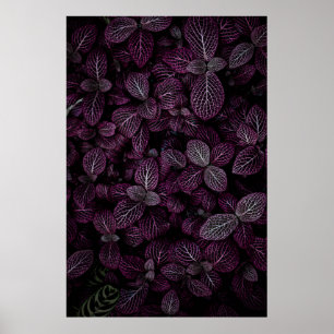 PÓSTER CAMPO DE PLANTA DE PURPLE LEAFED
