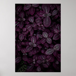 PÓSTER CAMPO DE PLANTA DE PURPLE LEAFED