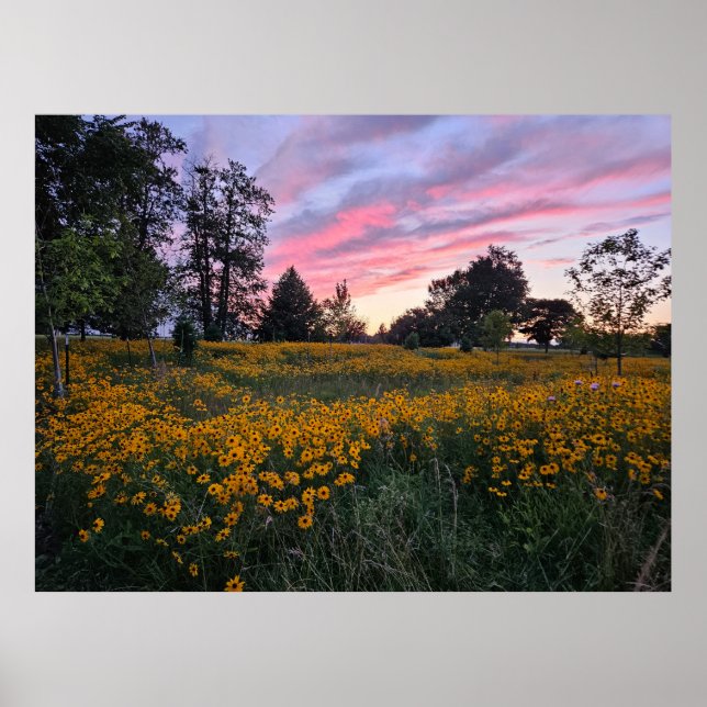Póster Campo de sueños (Frente)