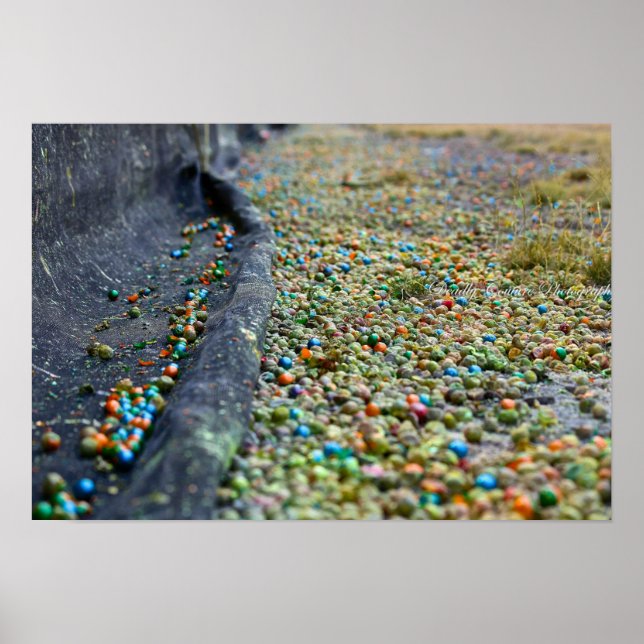 Póster Campo de sueños (Frente)