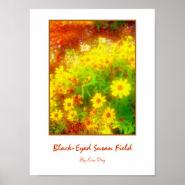 Póster 'Campo de Susans de Ojos Negros'