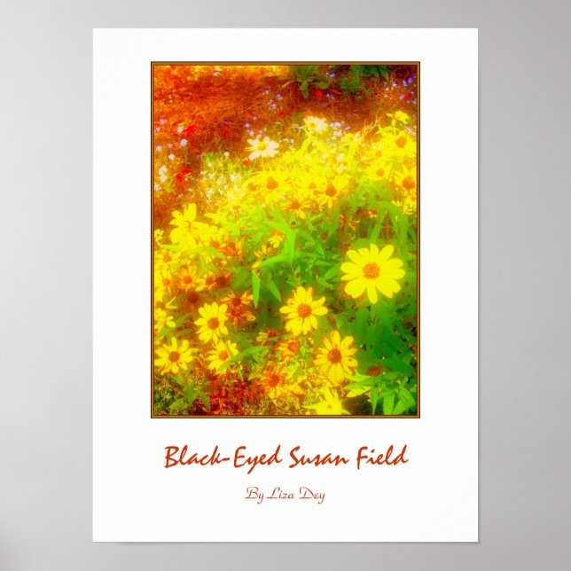 Póster 'Campo de Susans de Ojos Negros' (Frente)