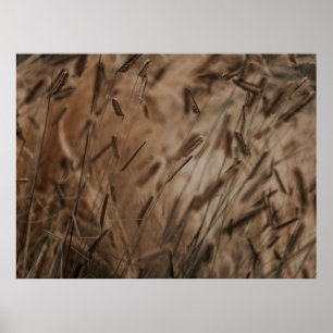 PÓSTER CAMPO DE TRIGO