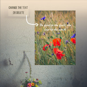 Póster Campo de trigo con cachorros y flores de maíz