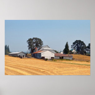 Póster Campo de trigo cosechado en granja de Oregon