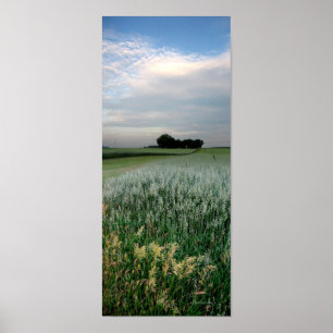 Póster Campo de trigo de granjas del medio oeste