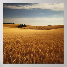 Póster Campo de trigo rural