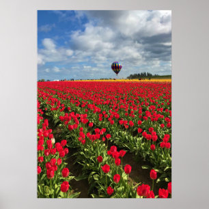 Póster Campo de tulipán rojo con globo de aire caliente