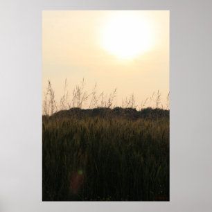 Póster Campo de verano