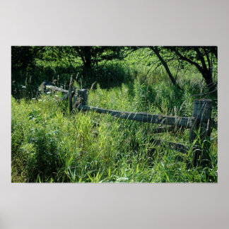 Póster Campo de verano con valla