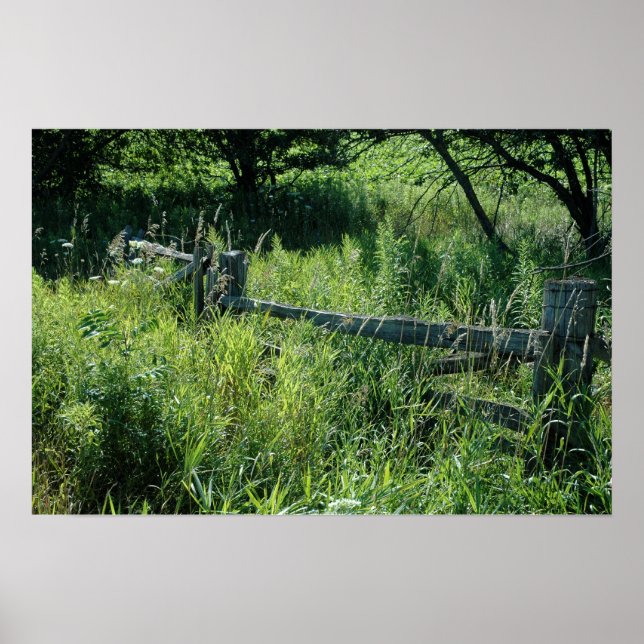 Póster Campo de verano con valla (Frente)