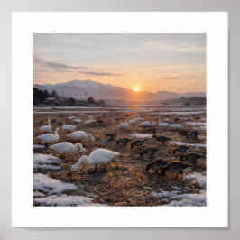 Póster Campo dorado de invierno con cisnes y gansos –