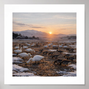 Póster Campo dorado de invierno con cisnes y gansos – 