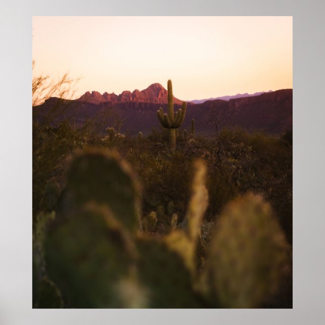 PÓSTER CAMPO GRIS VERDE (Frente)