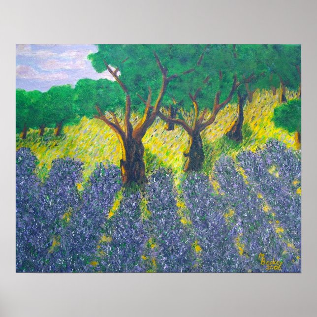 Póster Campo Lavender (Frente)