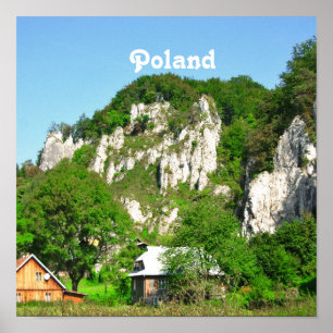 Póster Campo polaco