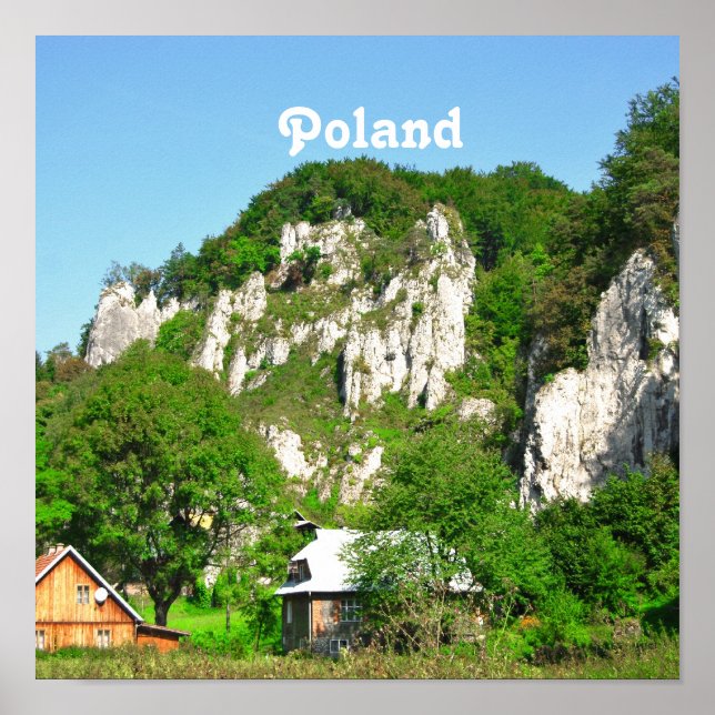 Póster Campo polaco (Frente)